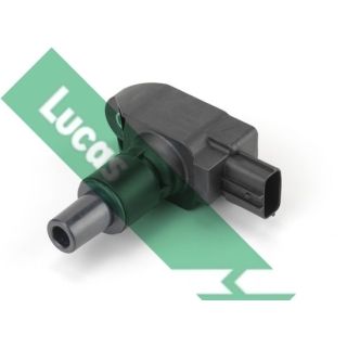 Ritė, uždegimas LUCAS DMB1154