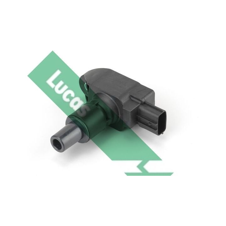 Ritė, uždegimas LUCAS DMB1154