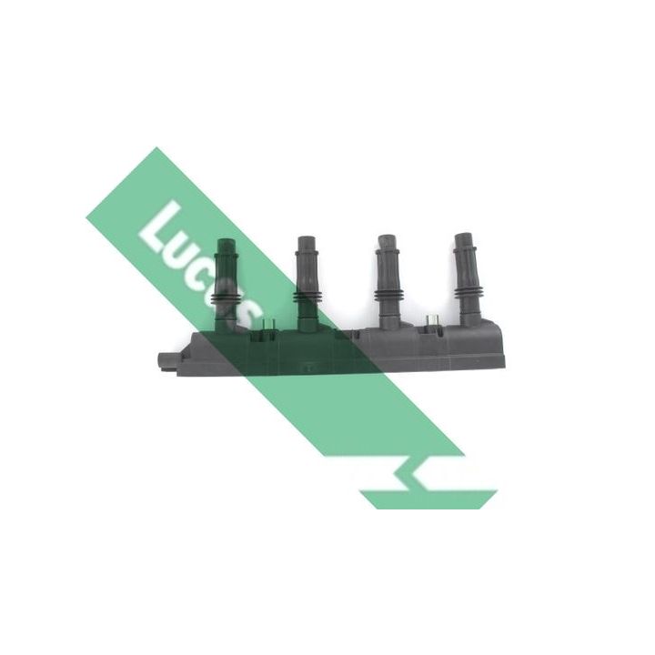 Ritė, uždegimas LUCAS DMB1155