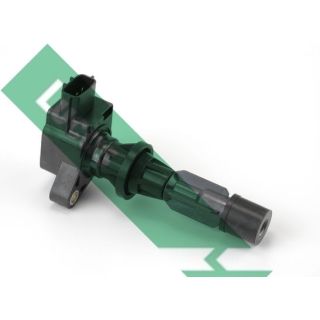 Ritė, uždegimas LUCAS DMB1156