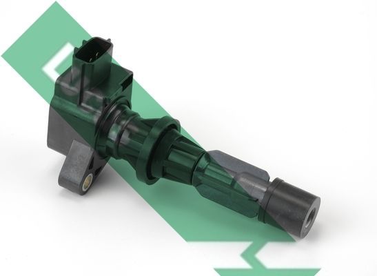 Ritė, uždegimas LUCAS DMB1156