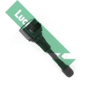 Ritė, uždegimas LUCAS DMB1157