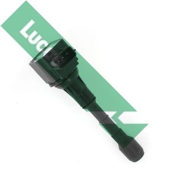 Ritė, uždegimas LUCAS DMB1157