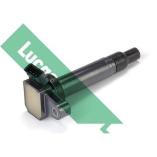 Ritė, uždegimas LUCAS DMB1159