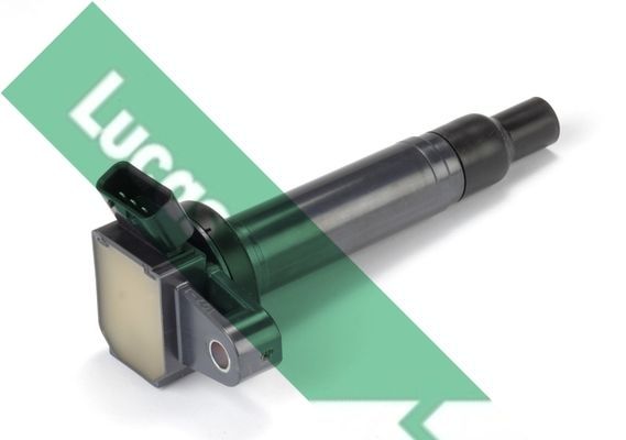 Ritė, uždegimas LUCAS DMB1159