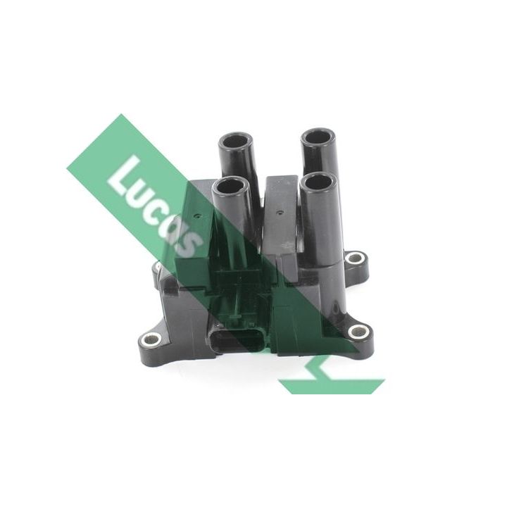 Ritė, uždegimas LUCAS DMB1160