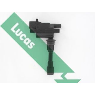 Ritė, uždegimas LUCAS DMB1162