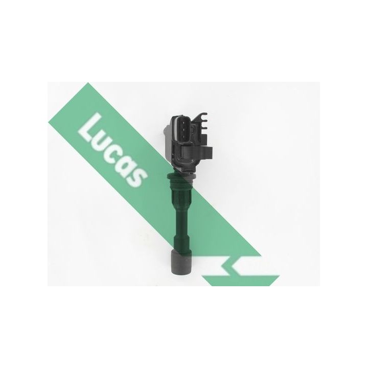 Ritė, uždegimas LUCAS DMB1162