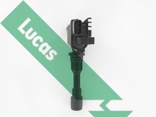 Ritė, uždegimas LUCAS DMB1162