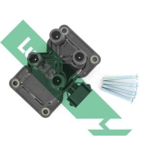 Ritė, uždegimas LUCAS DMB1805