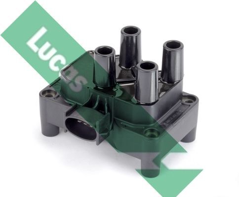 Ritė, uždegimas LUCAS DMB1805