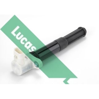 Ritė, uždegimas LUCAS DMB2007