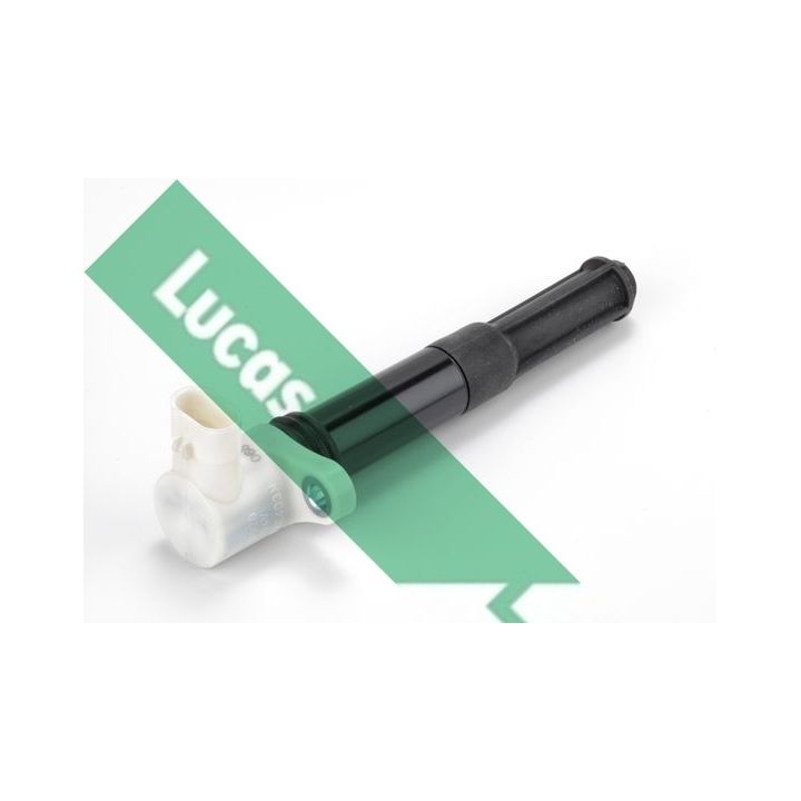 Ritė, uždegimas LUCAS DMB2007