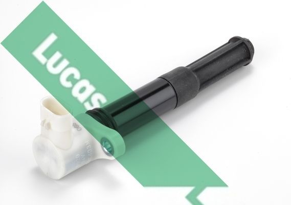 Ritė, uždegimas LUCAS DMB2007