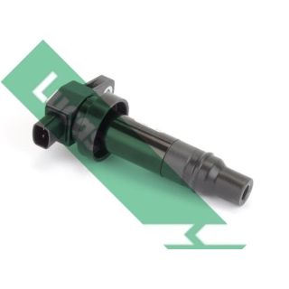 Ritė, uždegimas LUCAS DMB2008