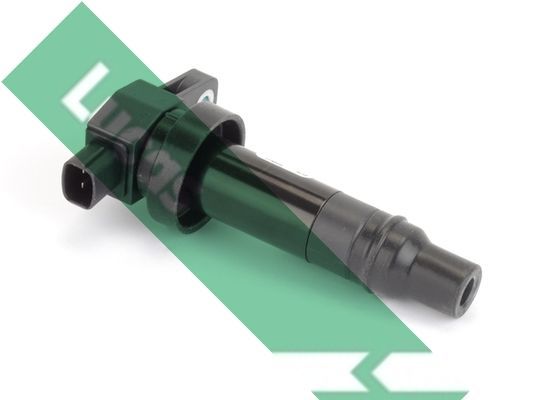 Ritė, uždegimas LUCAS DMB2008