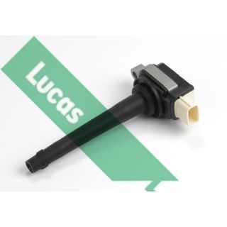 Ritė, uždegimas LUCAS DMB2009