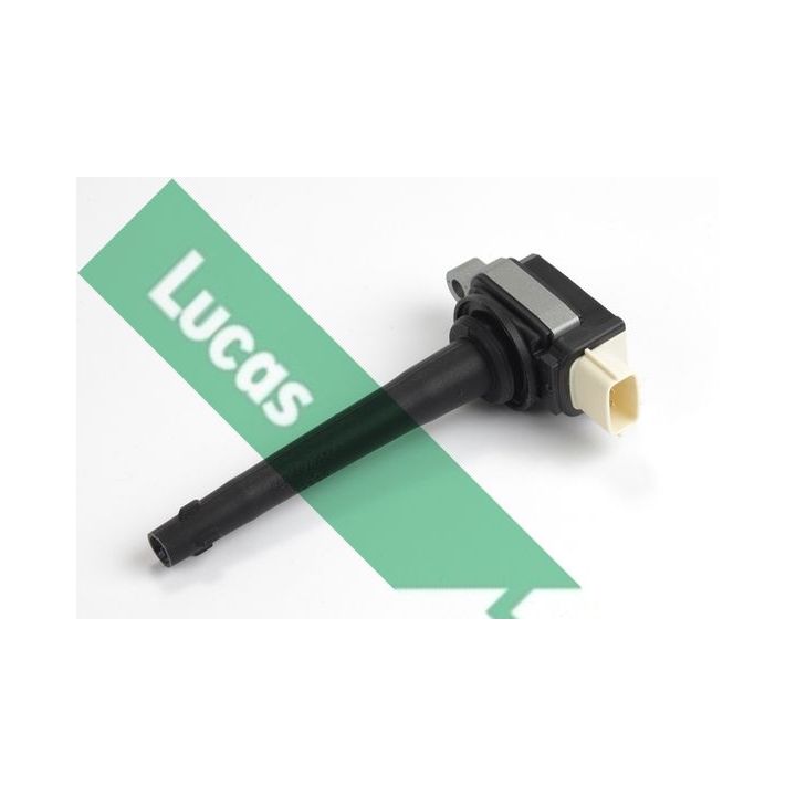 Ritė, uždegimas LUCAS DMB2009