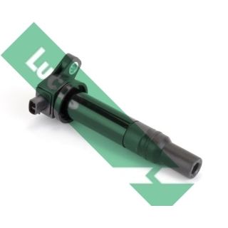 Ritė, uždegimas LUCAS DMB2010