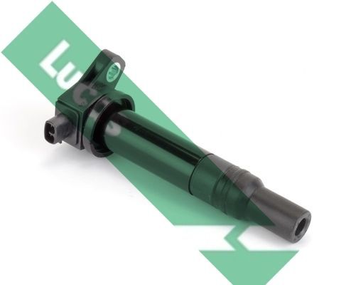 Ritė, uždegimas LUCAS DMB2010