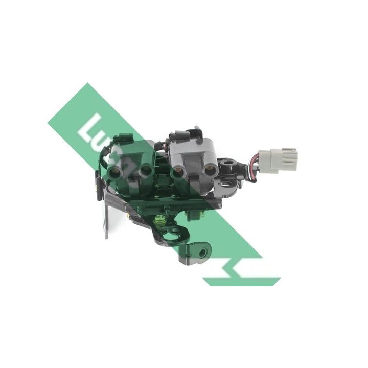 Ritė, uždegimas LUCAS DMB2014