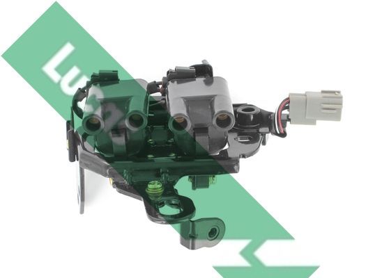 Ritė, uždegimas LUCAS DMB2014