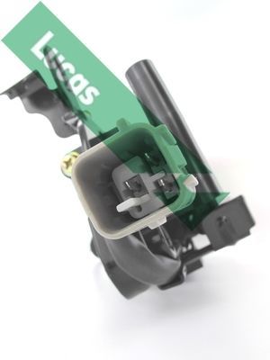 Ritė, uždegimas LUCAS DMB2014