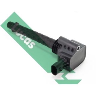 Ritė, uždegimas LUCAS DMB2017