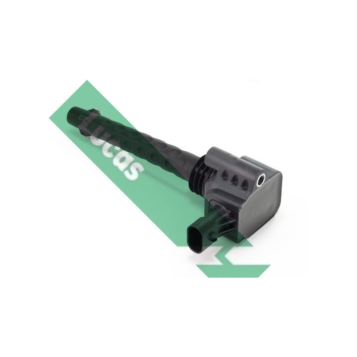 Ritė, uždegimas LUCAS DMB2017