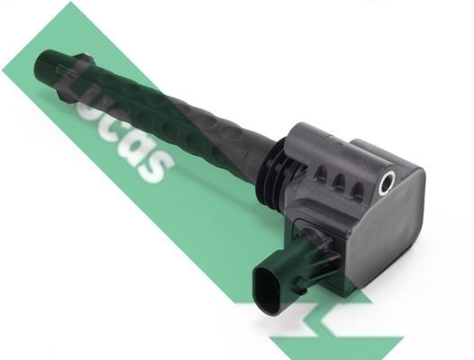 Ritė, uždegimas LUCAS DMB2017