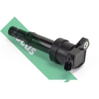 Ritė, uždegimas LUCAS DMB2018