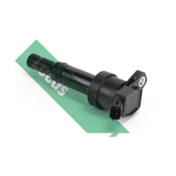 Ritė, uždegimas LUCAS DMB2018