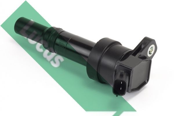 Ritė, uždegimas LUCAS DMB2018