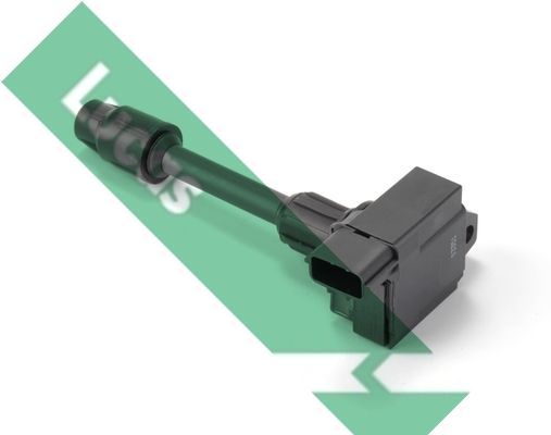 Ritė, uždegimas LUCAS DMB2021