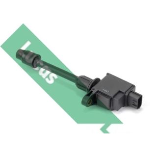 Ritė, uždegimas LUCAS DMB2022