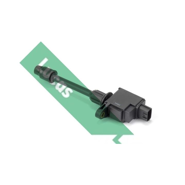 Ritė, uždegimas LUCAS DMB2022