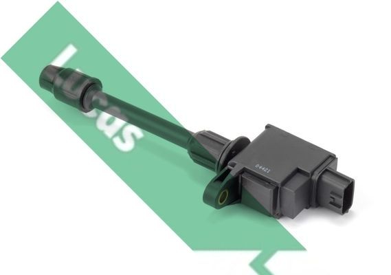 Ritė, uždegimas LUCAS DMB2022