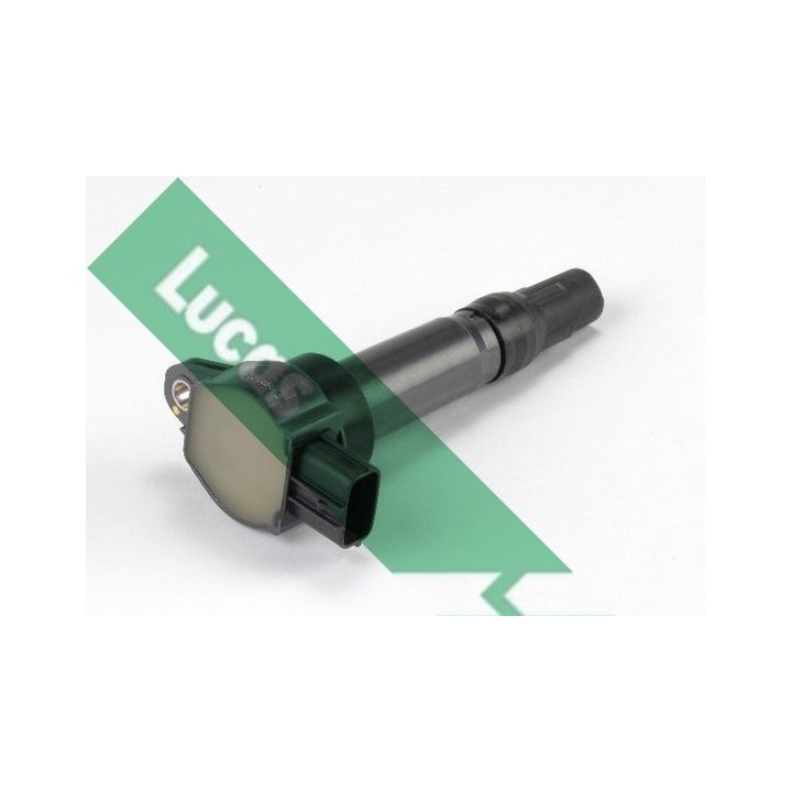 Ritė, uždegimas LUCAS DMB2033