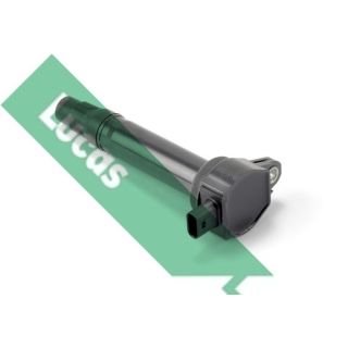 Ritė, uždegimas LUCAS DMB2038