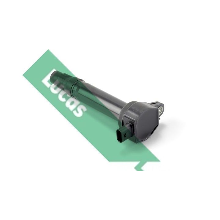 Ritė, uždegimas LUCAS DMB2038