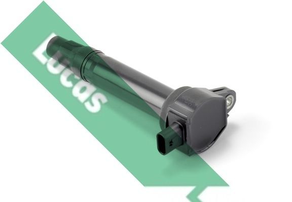 Ritė, uždegimas LUCAS DMB2038