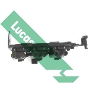 Ritė, uždegimas LUCAS DMB2044