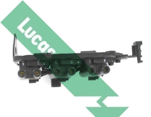 Ritė, uždegimas LUCAS DMB2044