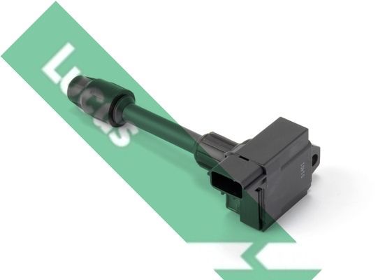 Ritė, uždegimas LUCAS DMB2047