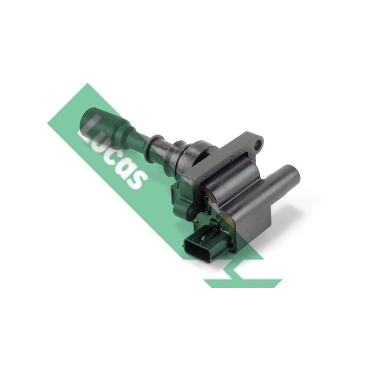 Ritė, uždegimas LUCAS DMB2050