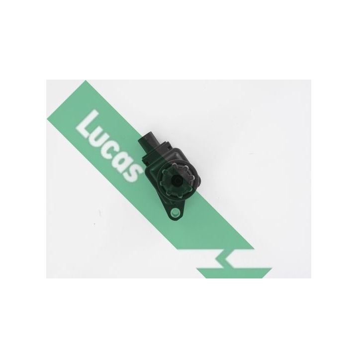 Ritė, uždegimas LUCAS DMB2060