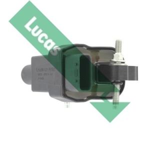 Ritė, uždegimas LUCAS DMB2061