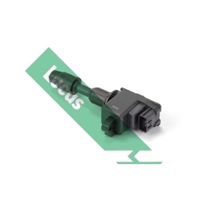 Ritė, uždegimas LUCAS DMB2069