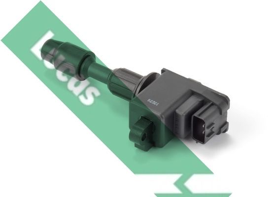 Ritė, uždegimas LUCAS DMB2069