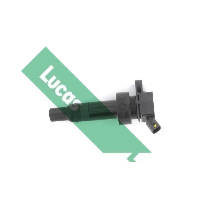 Ritė, uždegimas LUCAS DMB2072